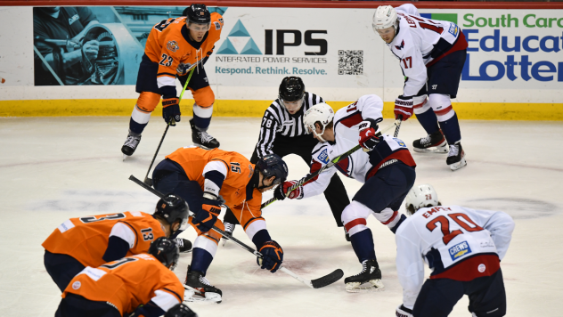 South Carolina Stingrays face off with the Greenville Swamp Rabbits