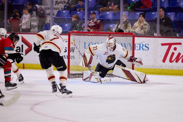 Vancouver Giants goaltender Brett Mirwald