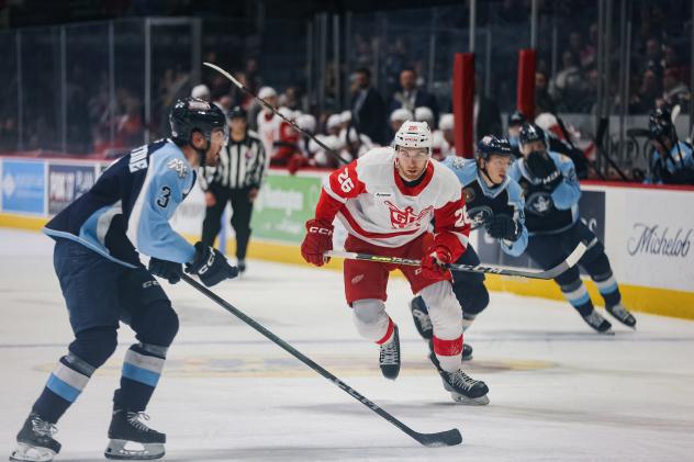 Milwaukee Admirals' Jake Livingstone and Grand Rapids Griffins' Tim Gettinger on the ice