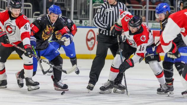 Wichita Thunder battles the Cincinnati Cyclones