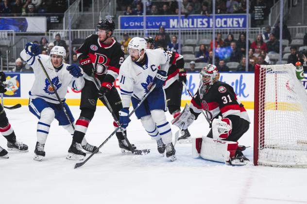 Belleville Senators battle the Toronto Marlies
