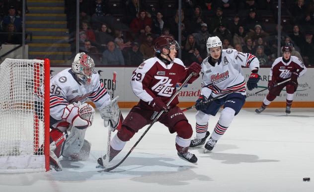 Peterborough Petes' Braydon McCallum versus Oshawa Generals' Noah Bender and Ben Danford