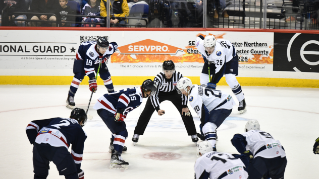 South Carolina Stingrays face off with the Jacksonville Icemen