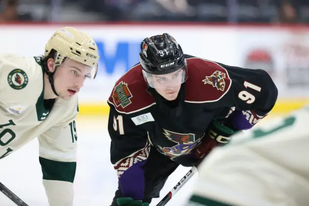 Tucson Roadrunners right wing Josh Doan