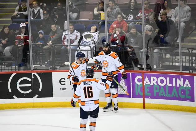 Greenville Swamp Rabbits exchange congratulations after a goal