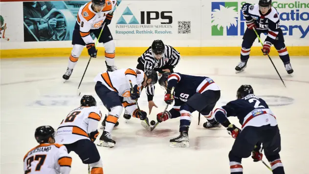 South Carolina Stingrays battle the Greenville Swamp Rabbits