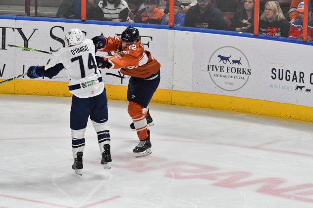 Jacksonville Icemen's Jerry D'Amigo battles Greenville Swamp Rabbits' Jordan Timmons
