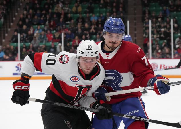 Belleville Senators' Zack Ostapchuk versus Laval Rocket's Arber Xhekaj