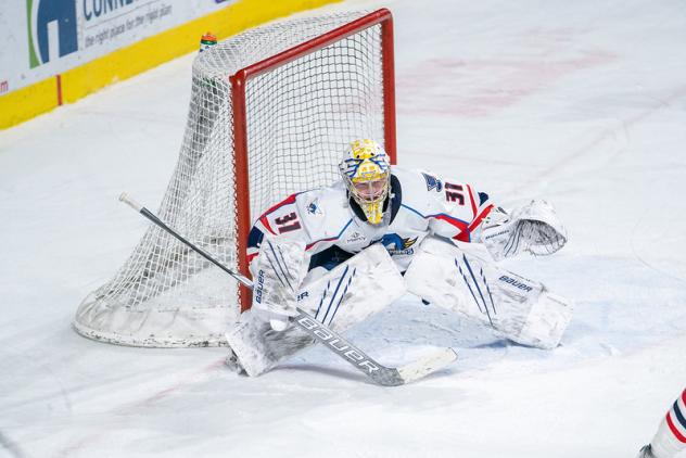 Springfield Thunderbirds goaltender Colten Ellis