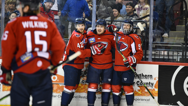 South Carolina Stingrays celebrate a goal