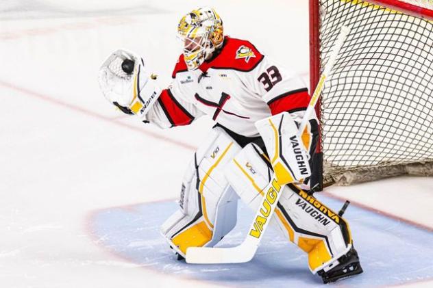 Wheeling Nailers goaltender Taylor Gauthier