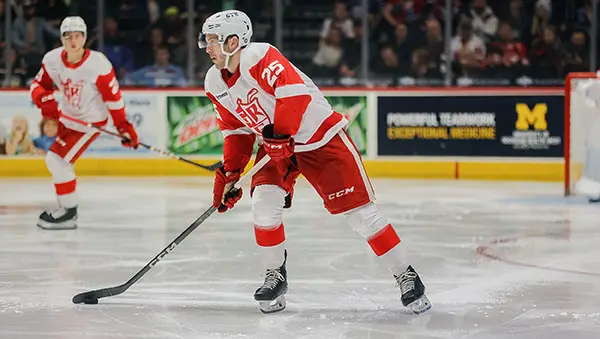 Grand Rapids Griffins defenseman Brogan Rafferty