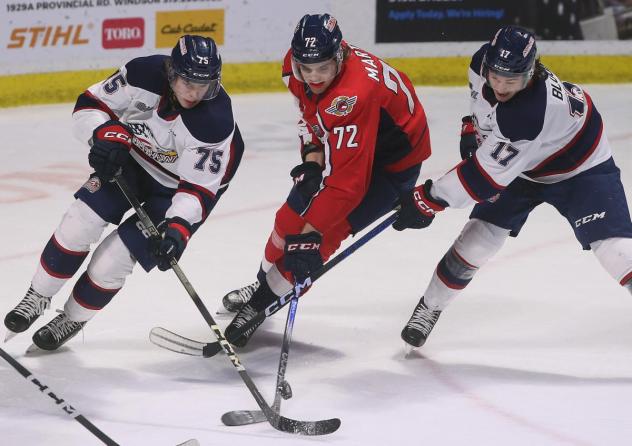 Saginaw Spirit's Jorian Donovan and Josh Bloom and Windsor Spitfires' Ethan Martin in action