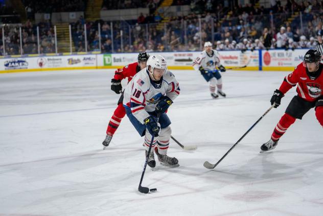 Springfield Thunderbirds' Mathias Laferriere in action