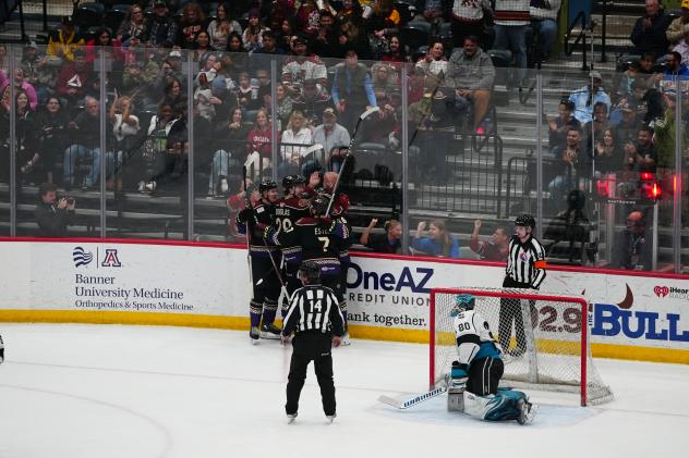 Tucson Roadrunners on game night