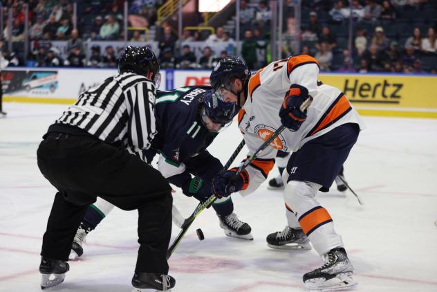 Greenville Swamp Rabbits forward Josh McKechney in the faceoff circle