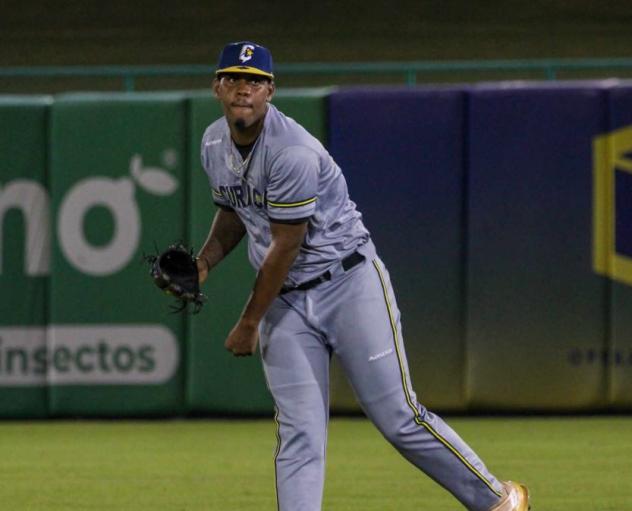 Pitcher Arlison Rodriguez