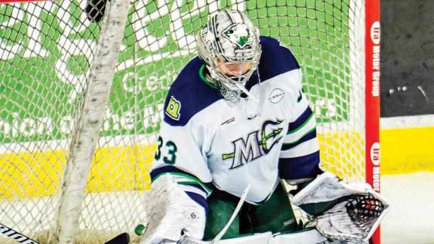 Maine Mariners goaltender Brad Arvanitis