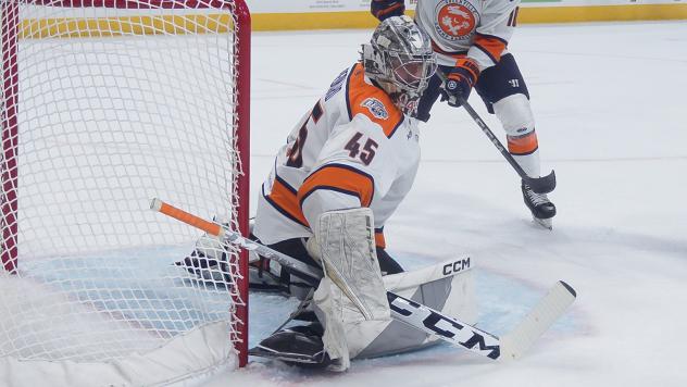 Greenville Swamp Rabbits goaltender Ryan Bednard