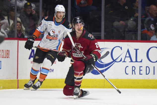 Tucson Roadrunners' Curtis Douglas on game night