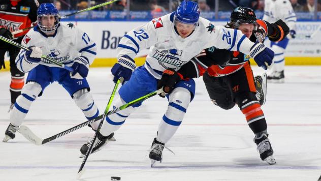 Wichita Thunder forward Michal Stinil