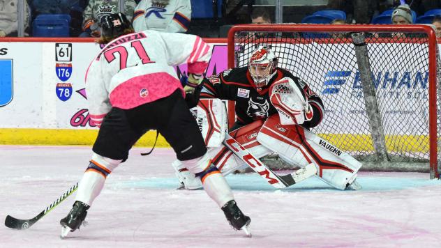 Reading Royals' Tag Bertuzzi and Adirondack Thunder's Tyler Brennan in acrtion