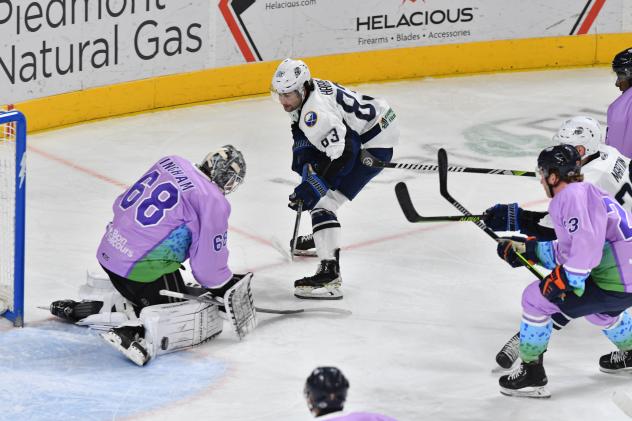 Greenville Swamp Rabbits' Jacob Ingham and Jacksonville Icemen's Brendan Harris in action