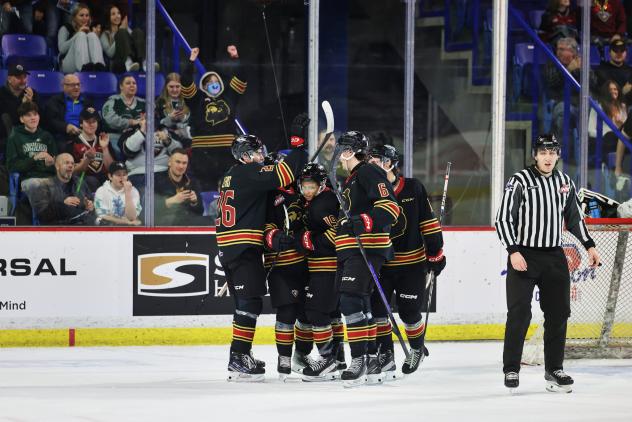 Vancouver Giants celebrate win