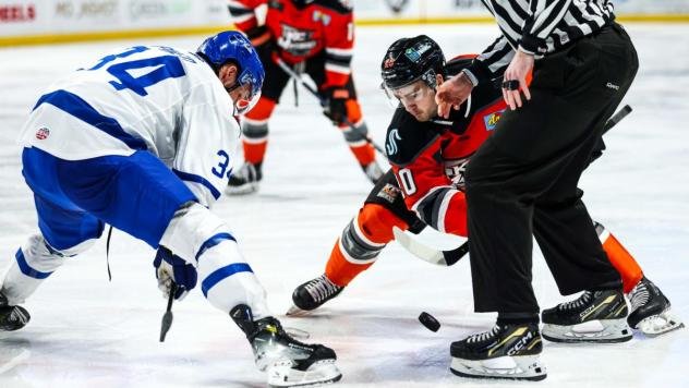 Wichita Thunder face off with the Kansas City Mavericks
