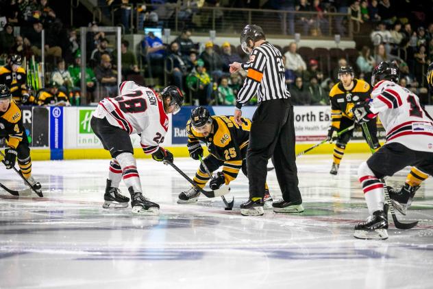 Rapid City Rush face off with the Maine Mariners