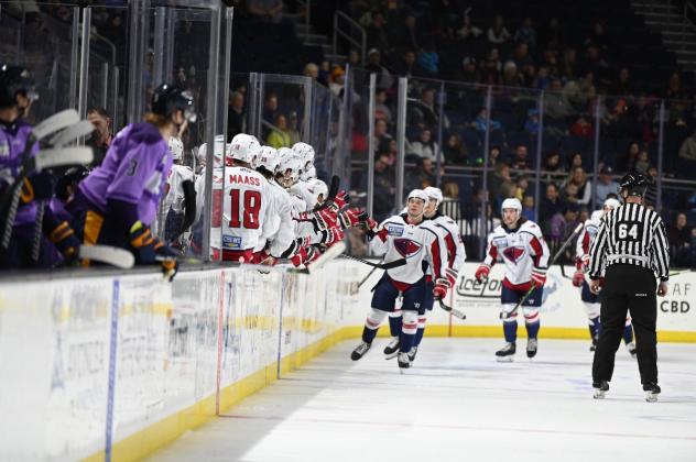 South Carolina Stingrays exchange congratulations along the bench