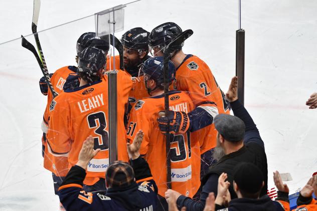 Greenville Swamp Rabbits celebrate a goal