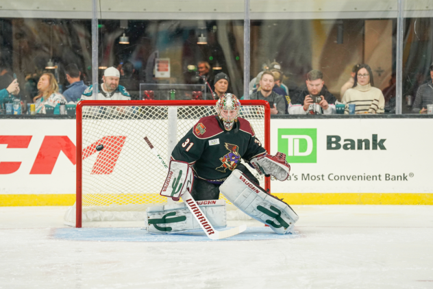 Tucson Roadrunners' Matthew Villalta in action