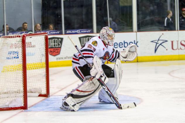 Rockford IceHogs goaltender Corey Crawford
