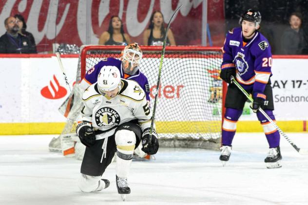 Wheeling Nailers forward Jordan Martel reacts after scoring against the Reading Royals