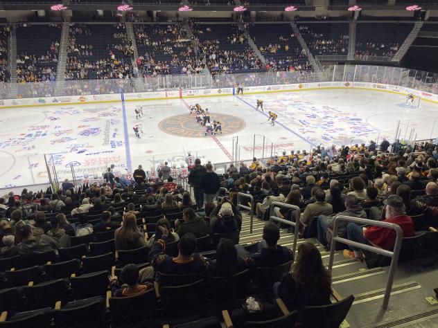 The Atlanta Gladiators take on the South Carolina Stingrays