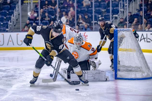 Newfoundland Growlers' Neil Shea and Greenville Swamp Rabbits' Jacob Ingham on game night