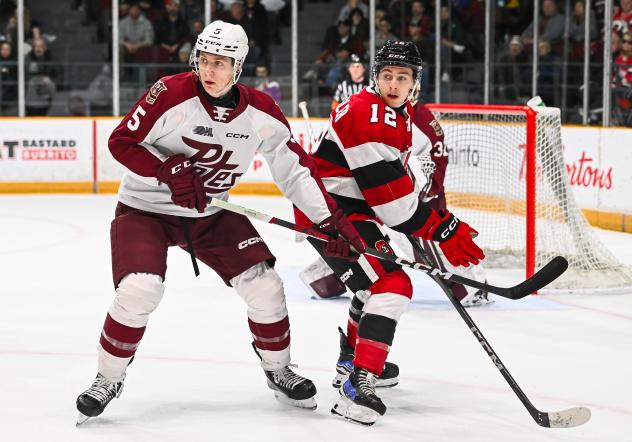 Peterborough Petes' Martin Matejicek and Ottawa 67's' Braeden Kressler on game night