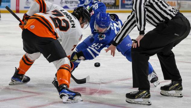 Wichita Thunder face off with the Fort Wayne Komets