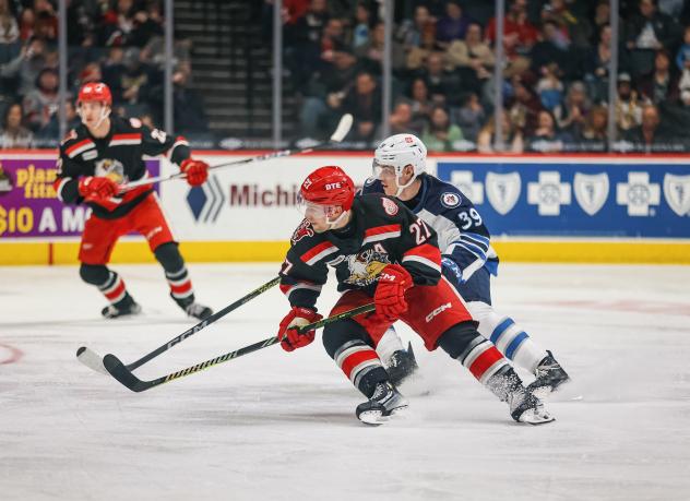 Grand Rapids Griffins' Austin Czarnik and Manitoba Moose' Jeff Malott on game night