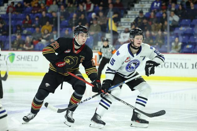 Vancouver Giant's Samuel Honzek and Wenatchee Wild's Briley Wood on the ice