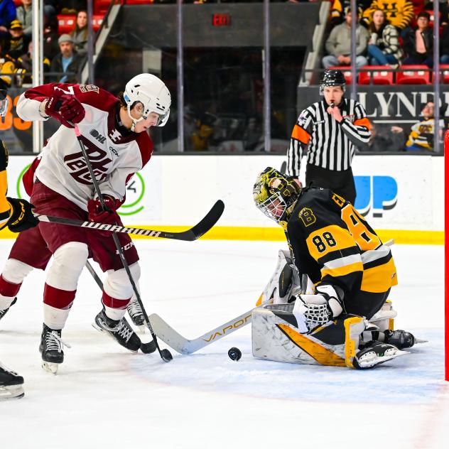 Peterborough Petes left wing Chase Lefebvre looks for a score against the Brantford Bulldogs