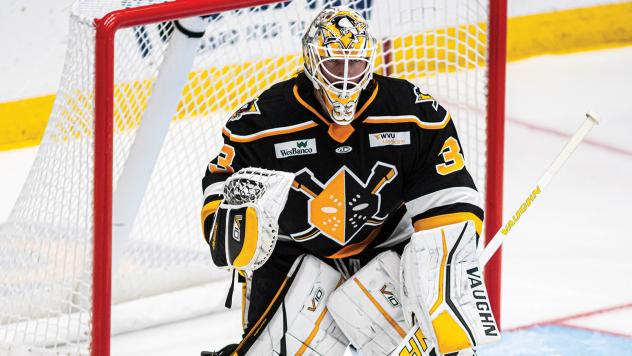 Wheeling Nailers goaltender Taylor Gauthier