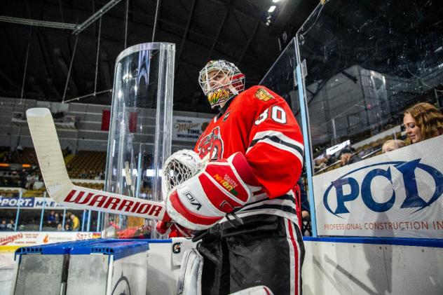 Rockford IceHogs goaltender Jaxson Stauber