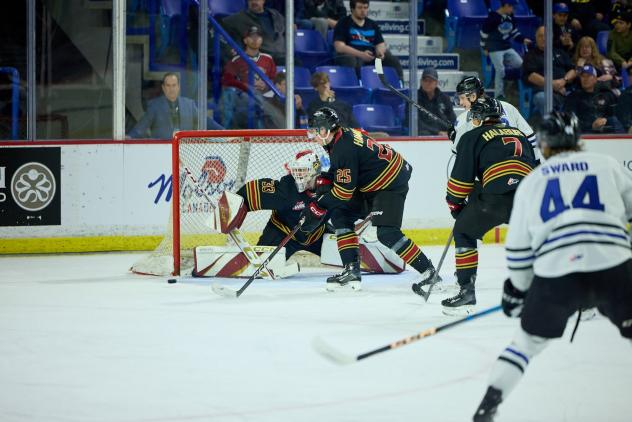 Vancouver Giants goaltender Brett Mirwald