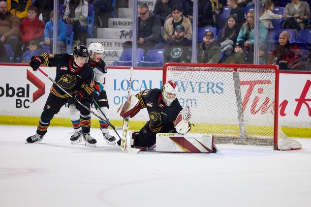 Vancouver Giants goaltender Brett Mirwald