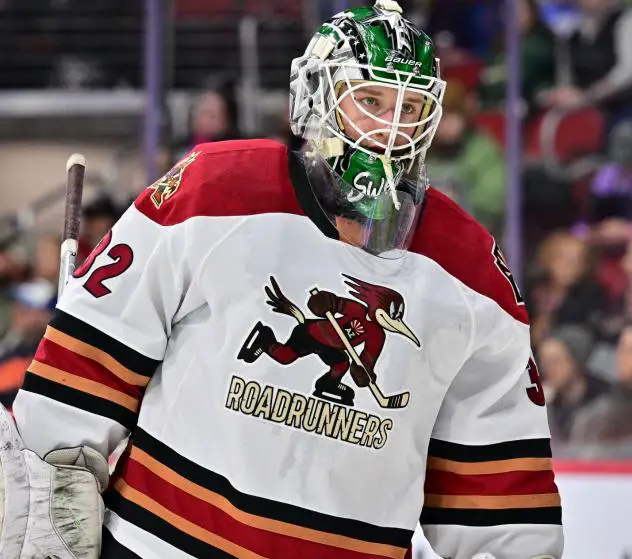 Tucson Roadrunners goaltender Dylan Wells