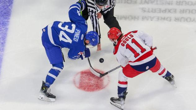 Wichita Thunder face off with the Allen Americans