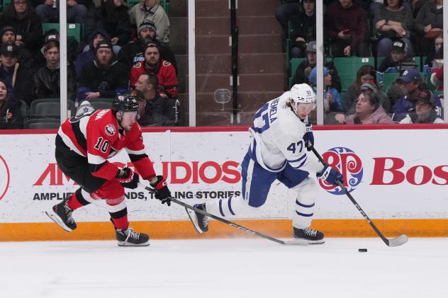 Belleville Senators' Zack Ostapchuk and Toronto Marlies' Topi Niemela in action