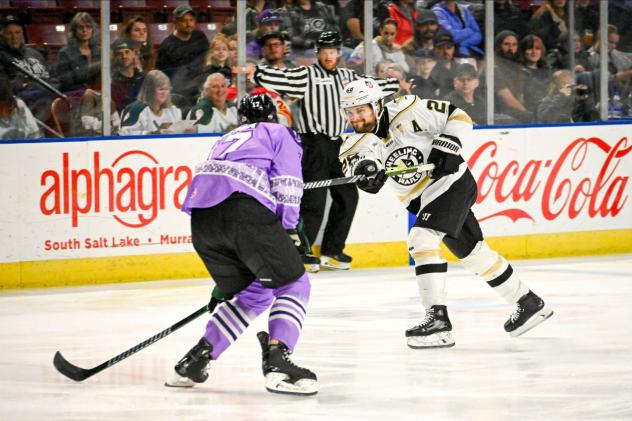 Utah Grizzlies' Jacob Semik battles Wheeling Nailers' Louis Roehl